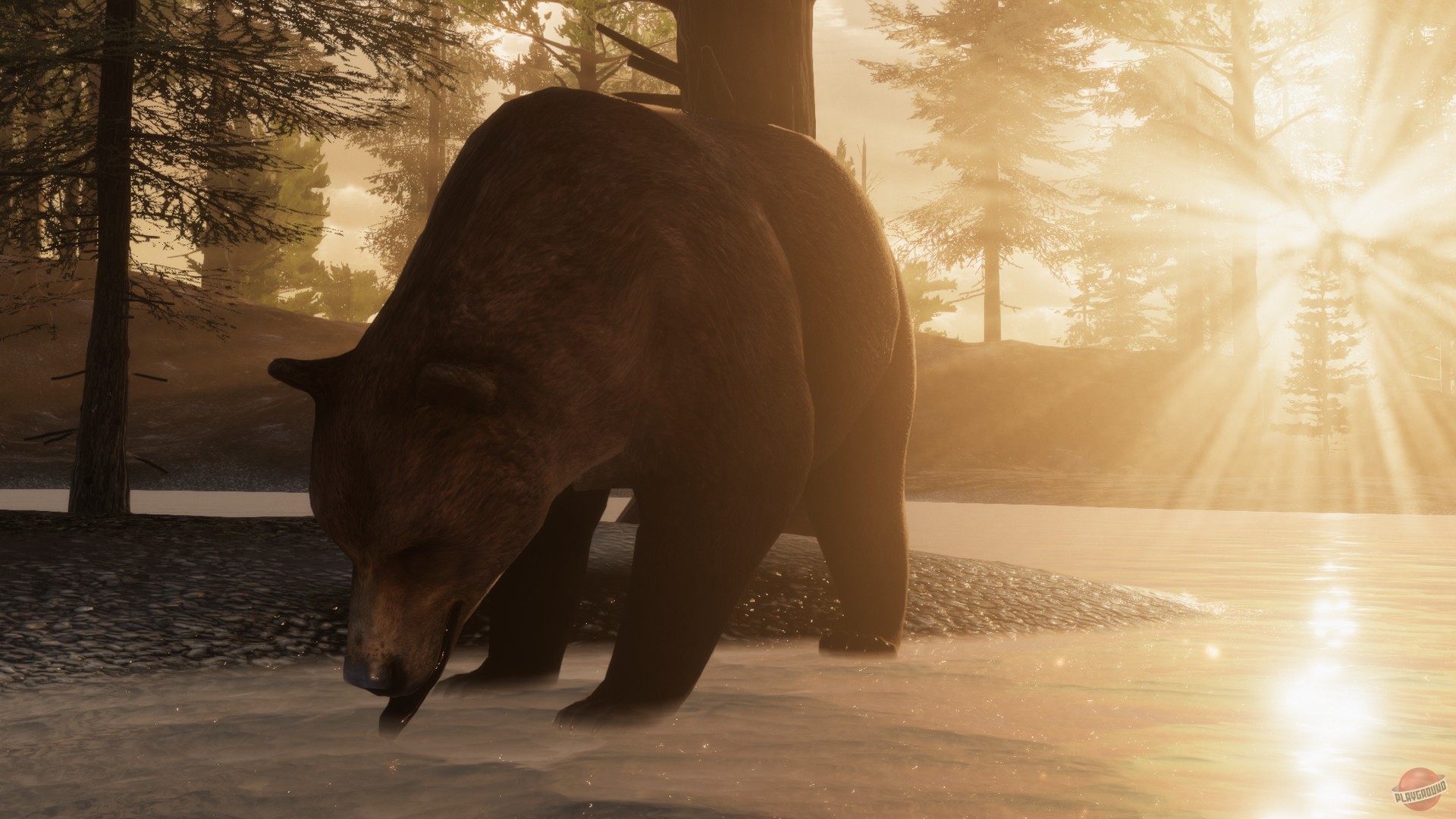 Скриншот из игры The WILDS - 2