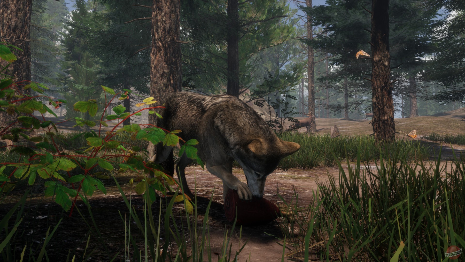 Скриншот из игры The WILDS - 4