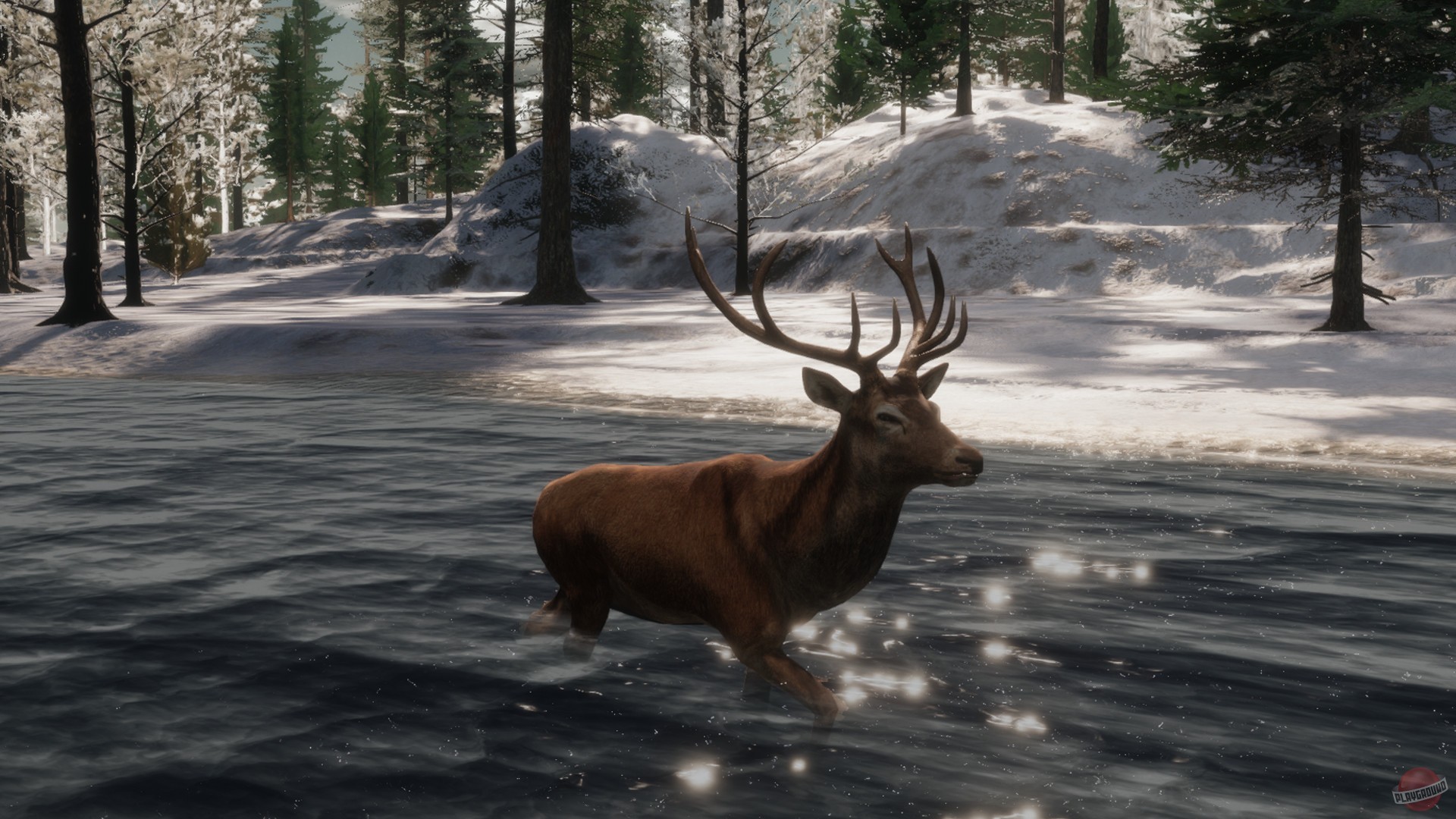 Скриншот из игры The WILDS - 3