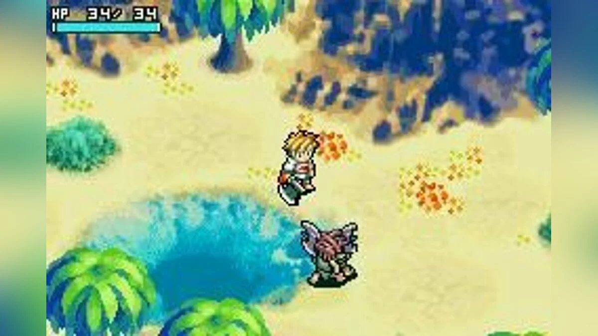 Скриншот из игры Shining Soul - 2