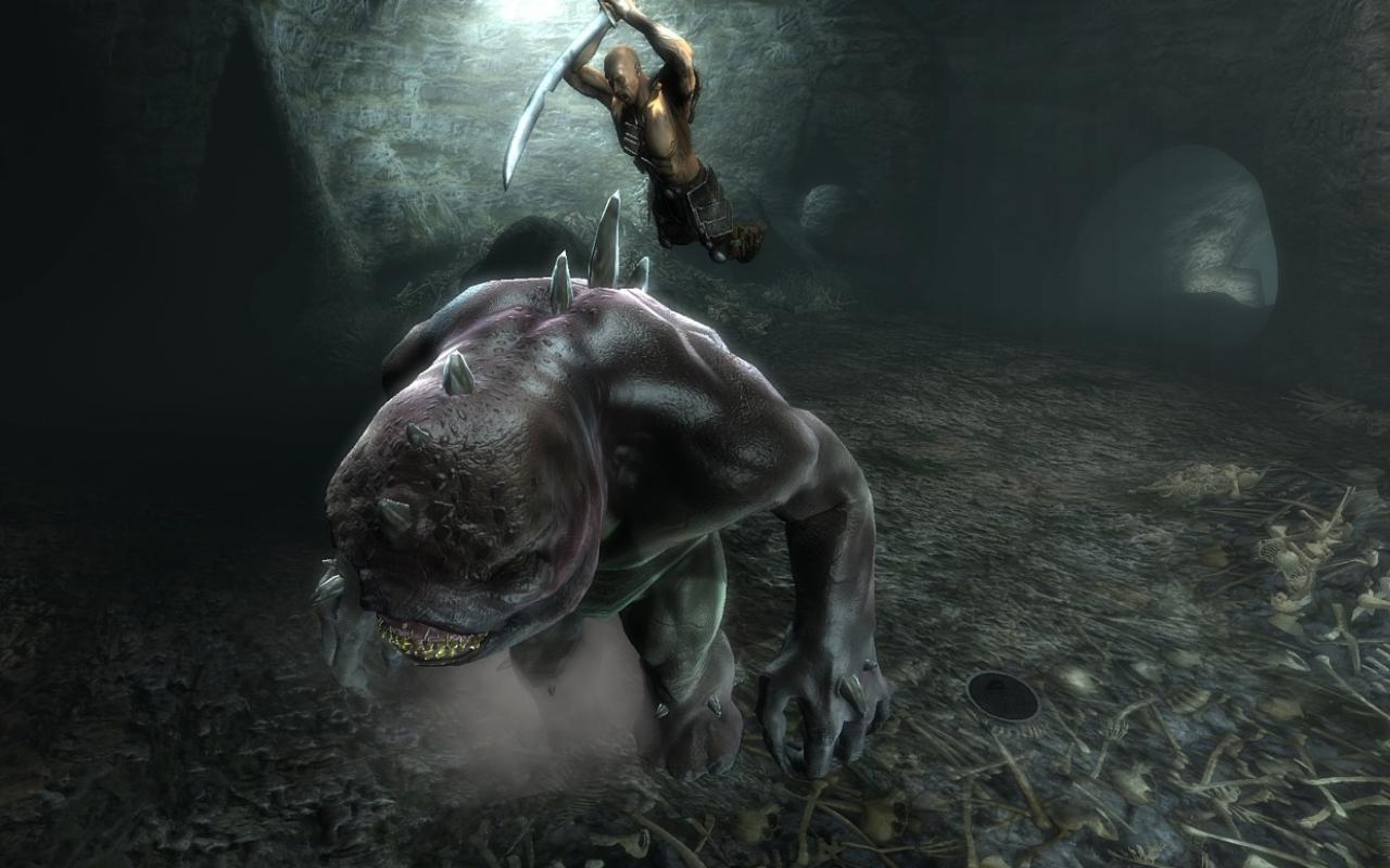 Скриншот из игры Dungeon Hero - 2