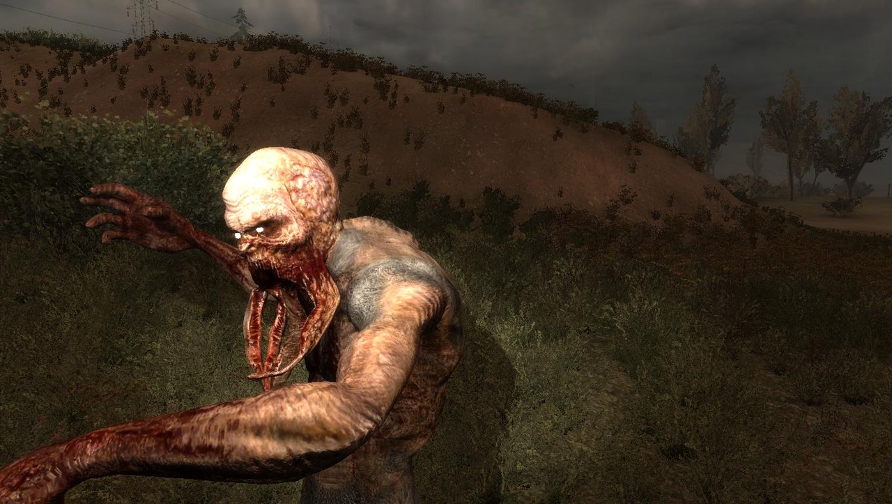 Скриншот из игры S.T.A.L.K.E.R.: Call of Pripyat - 72