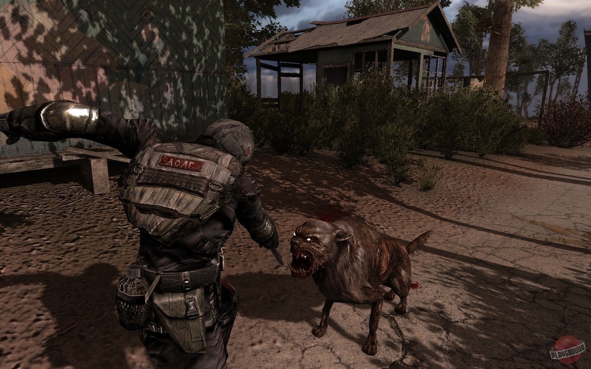 Скриншот из игры S.T.A.L.K.E.R.: Call of Pripyat - 39
