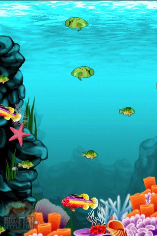 Скриншот из игры Big Fish Little Fish - 1