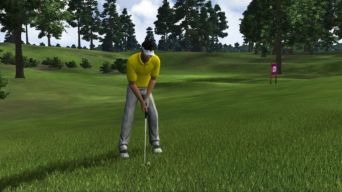 Скриншот из игры John Daly's ProStroke Golf - 2
