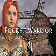 Обложка игры Pocket Warrior Girl