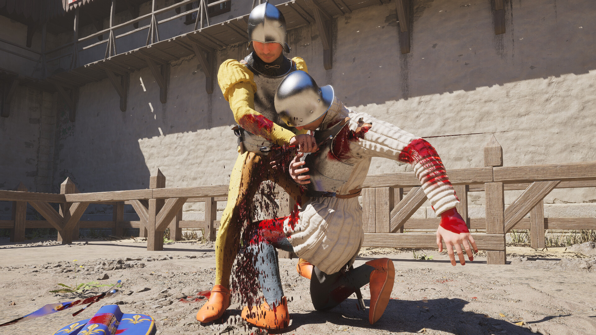 Скриншот из игры Half Sword - 17