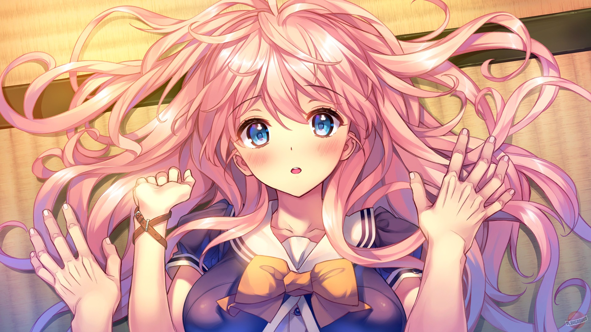 Скриншот из игры Under One Wing - 1