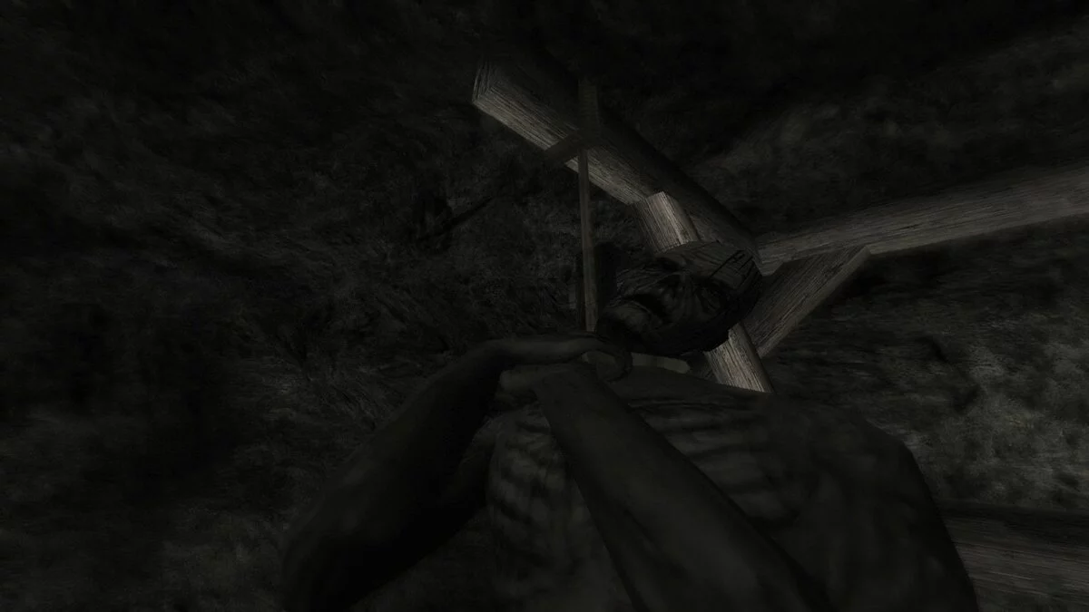 Скриншот из игры Call of Cthulhu: Dark Corners of the Earth - 44