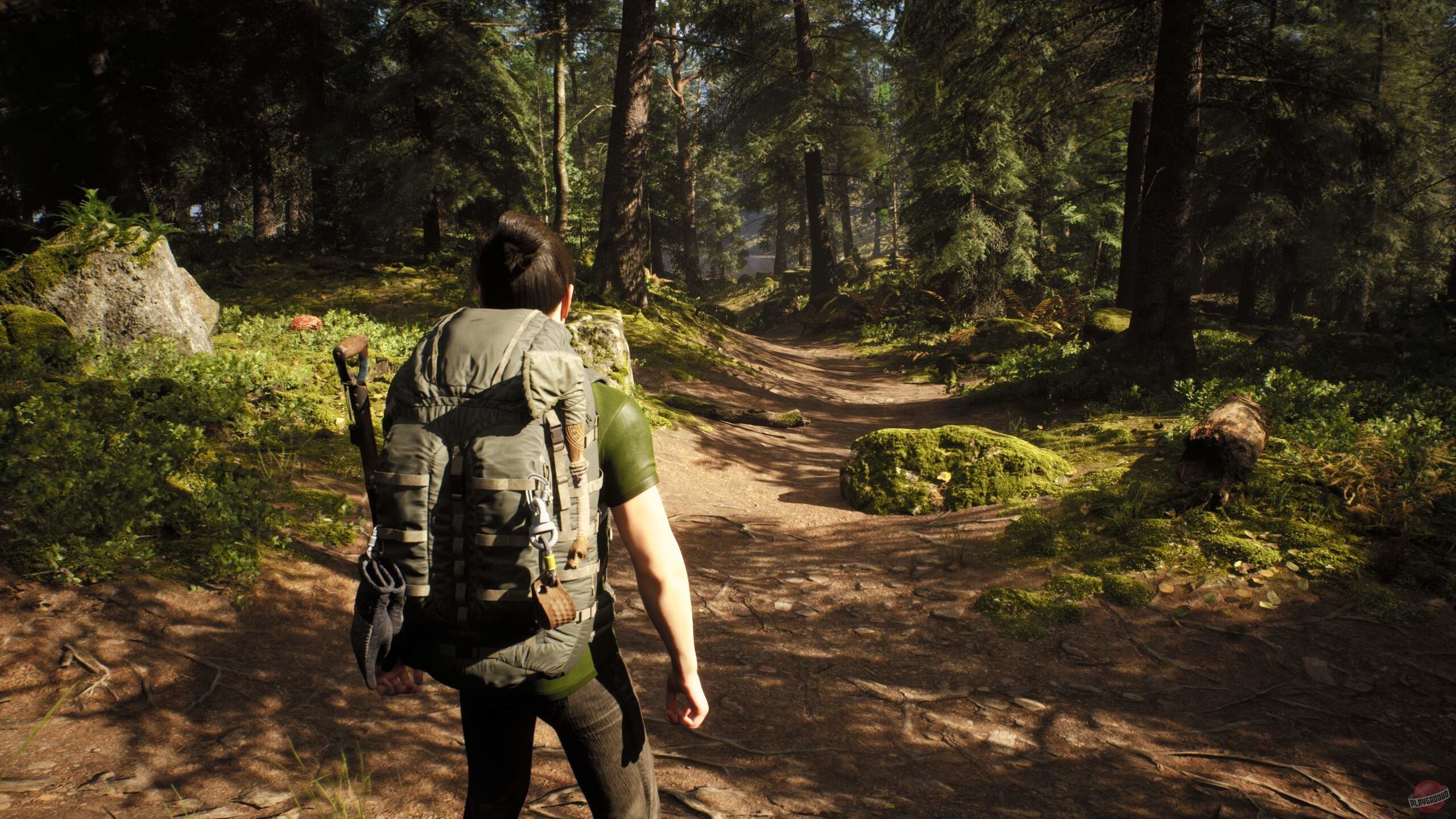 Скриншот из игры Rooted - 3