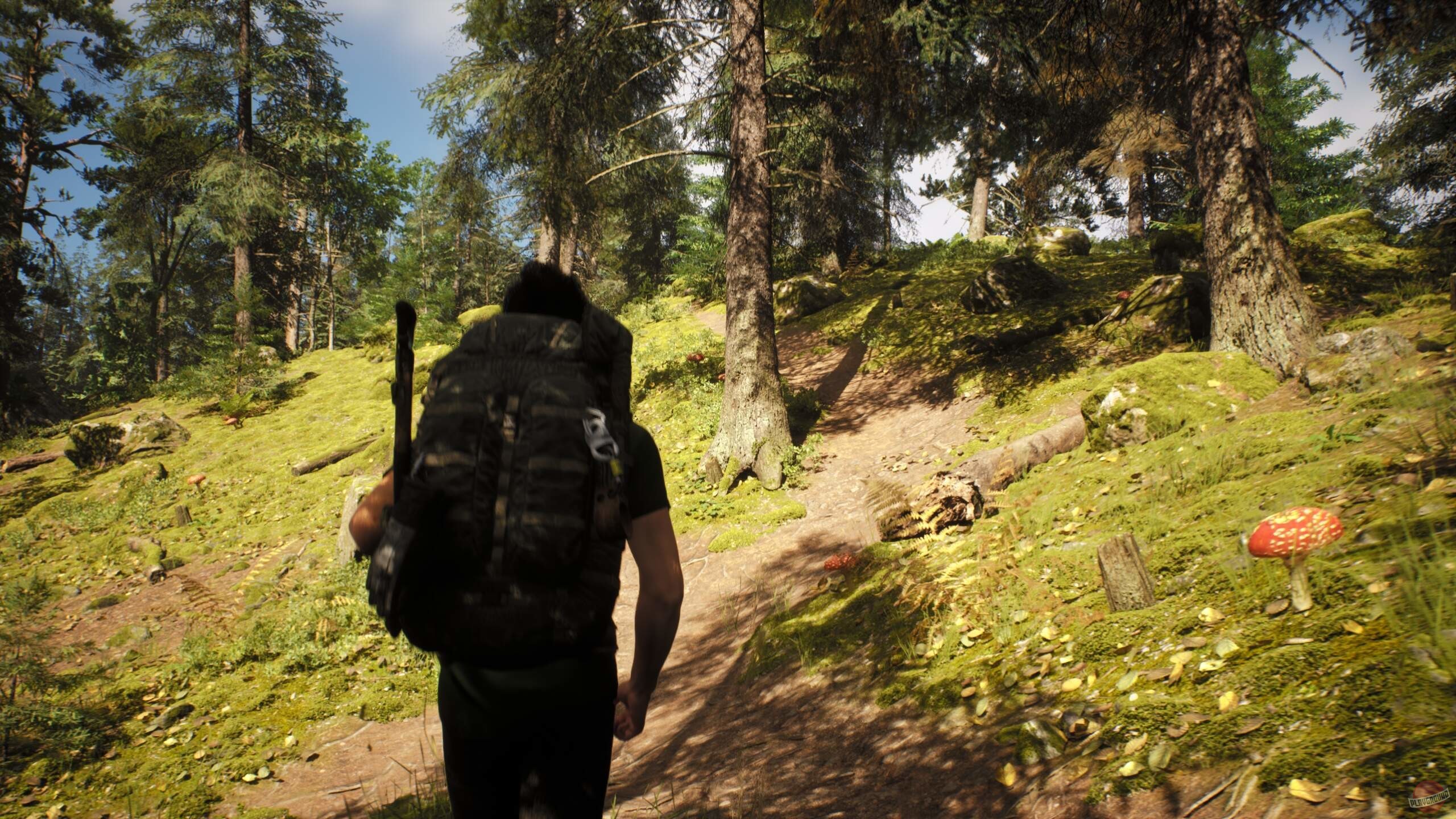 Скриншот из игры Rooted - 9