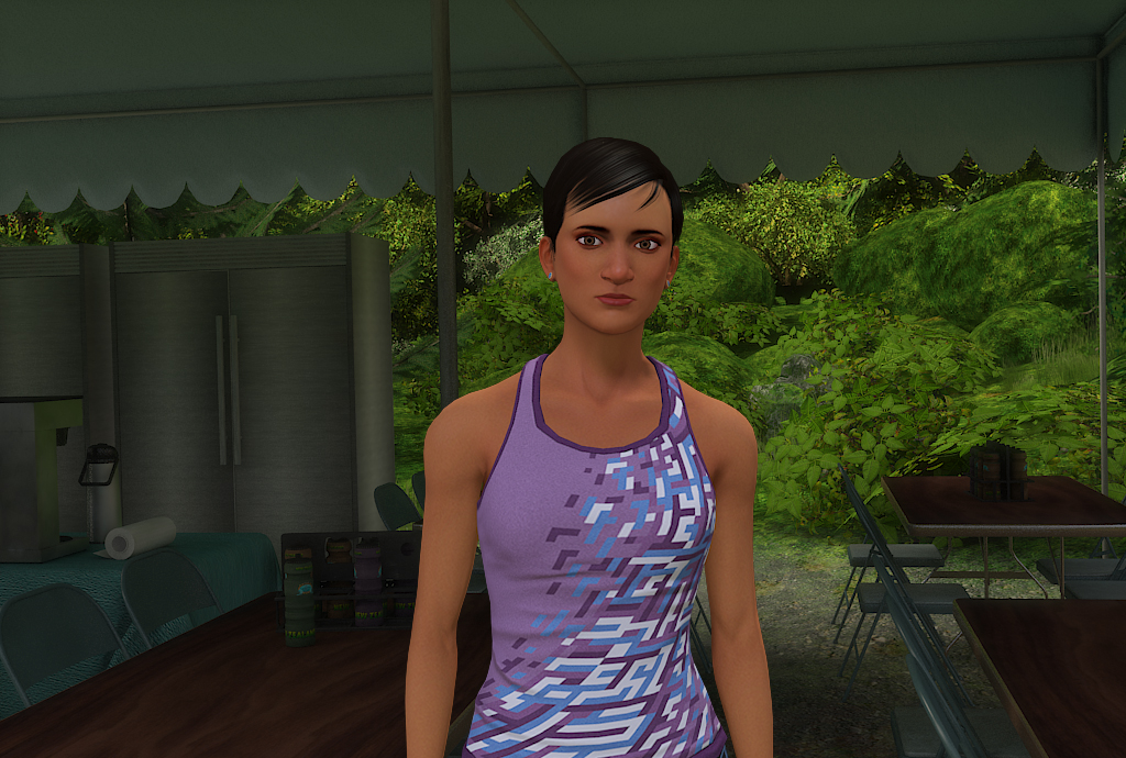 Скриншот из игры Nancy Drew: The Shattered Medallion - 32