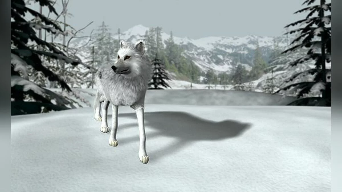 Скриншот из игры Nancy Drew: The White Wolf of Icicle Creek - 29