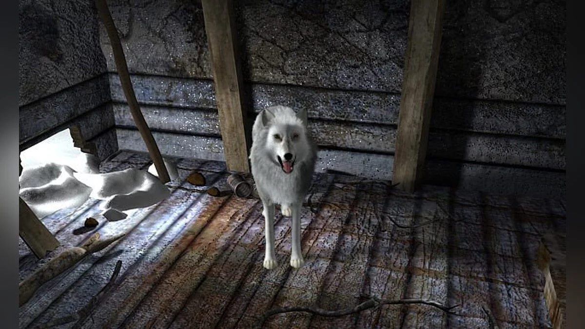 Скриншот из игры Nancy Drew: The White Wolf of Icicle Creek - 25