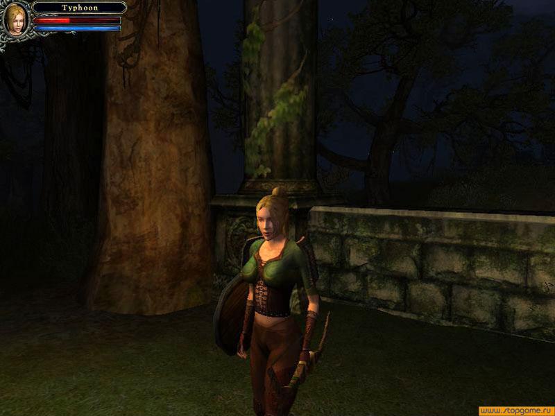 Скриншот из игры Dungeon Lords - 9