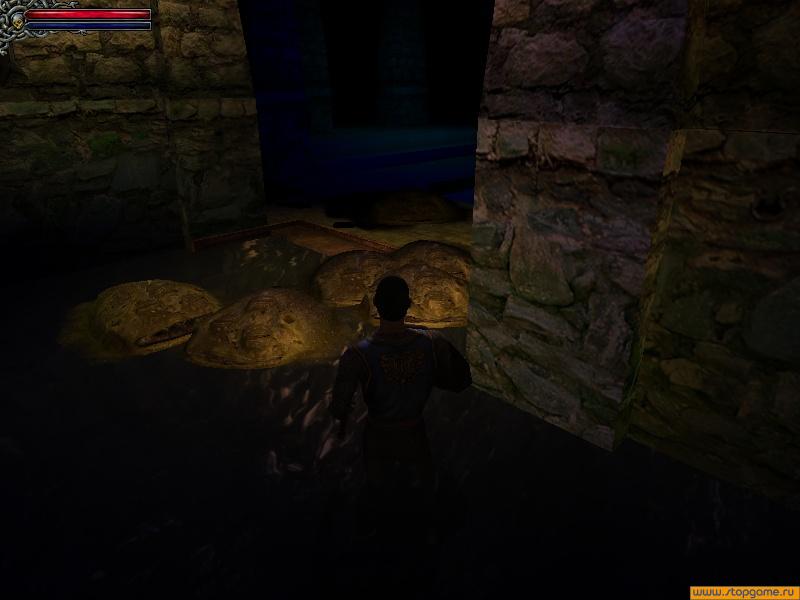 Скриншот из игры Dungeon Lords - 21