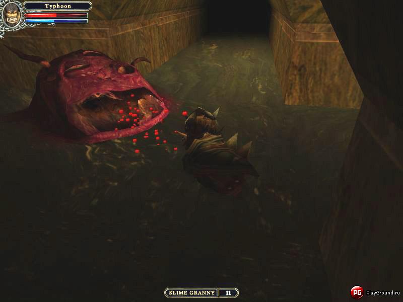 Скриншот из игры Dungeon Lords - 3