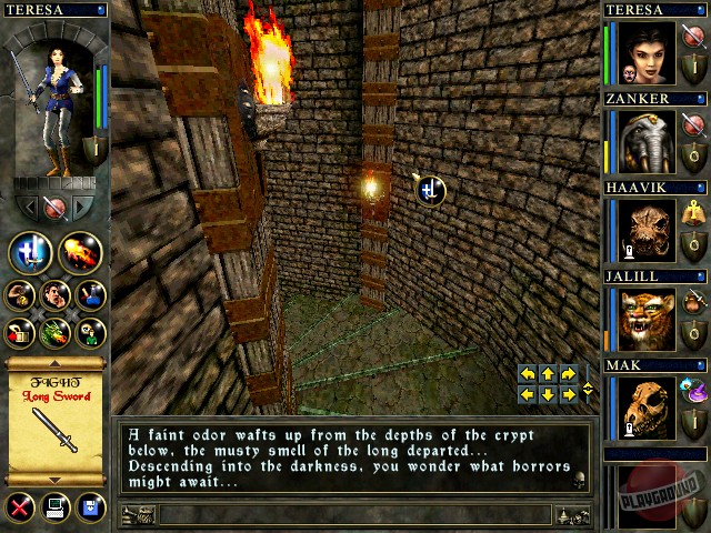 Скриншот из игры Wizards & Warriors: Quest for the Mavin Sword - 18