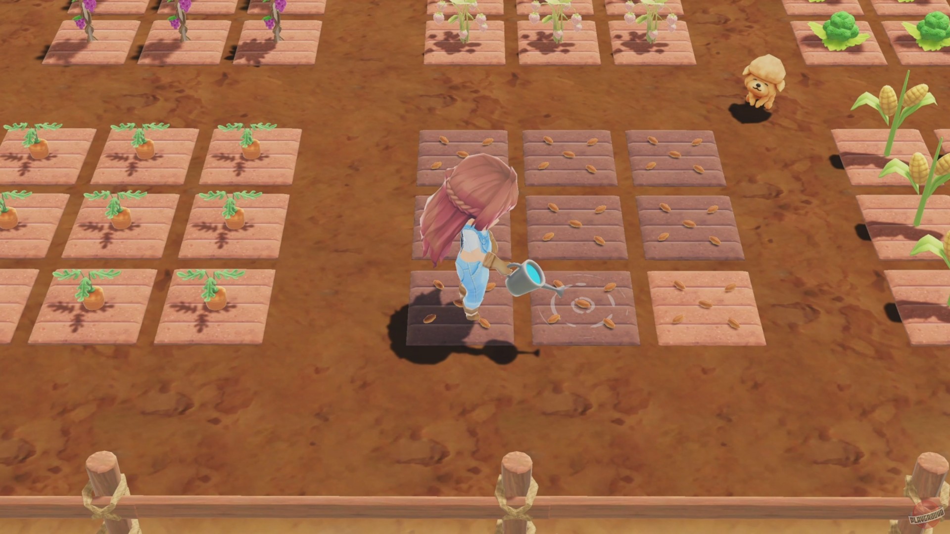 Скриншот из игры A New Leaf: Memories - 13