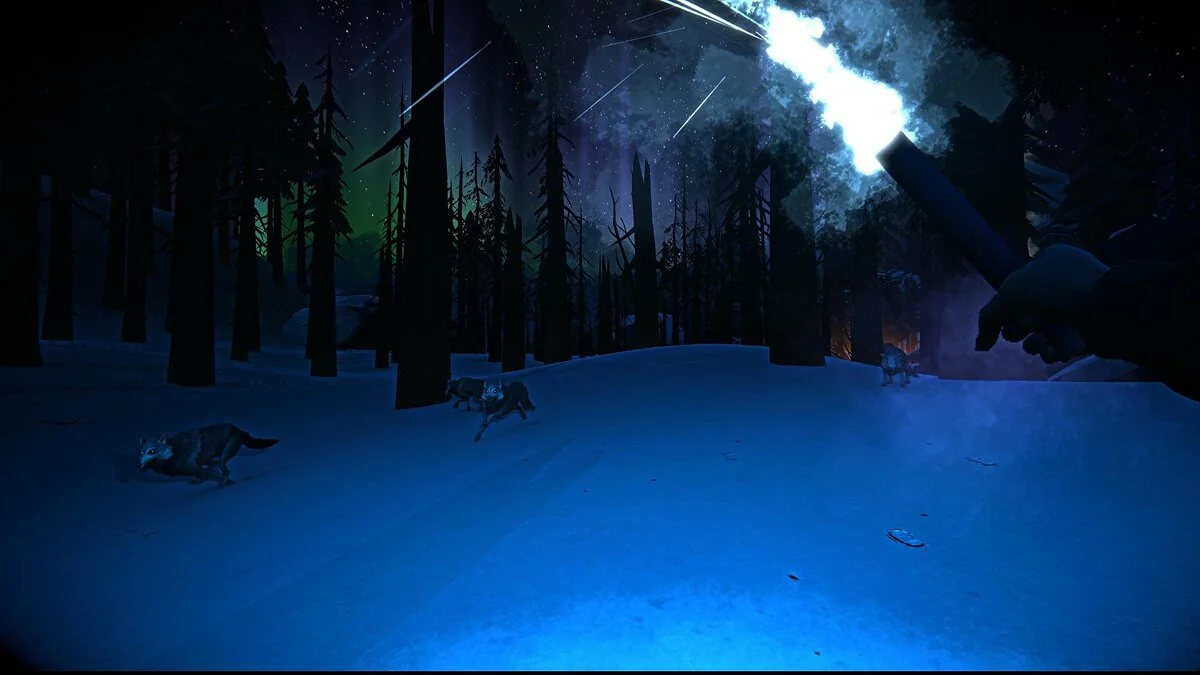 Скриншот из игры The Long Dark - 57