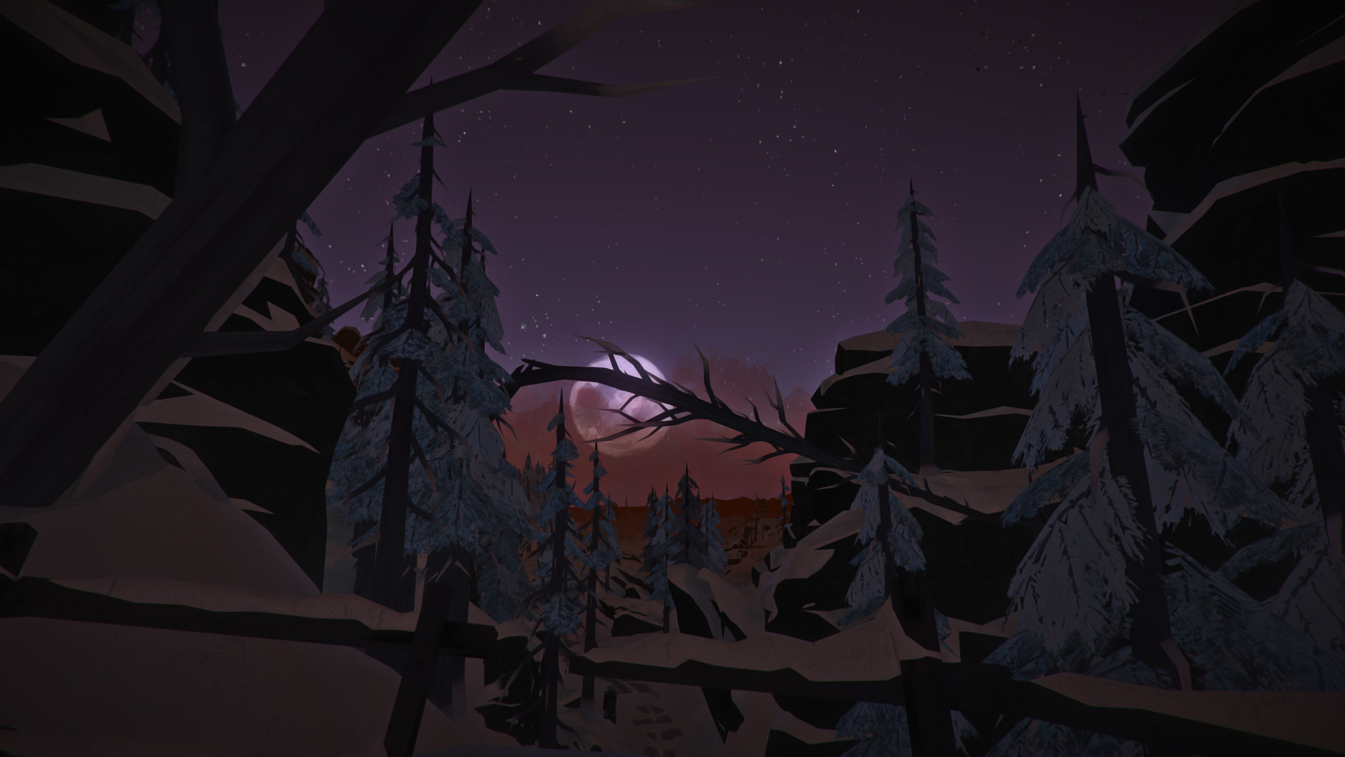 Скриншот из игры The Long Dark - 111