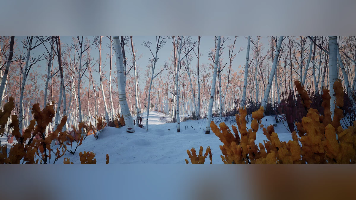 Скриншот из игры Blackfrost: The Long Dark 2 - 14