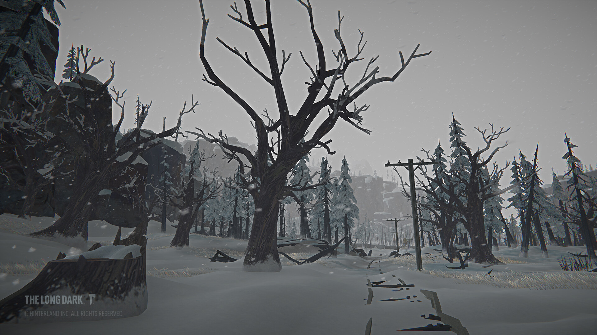 Скриншот из игры The Long Dark - Tales from the Far Territory - 8