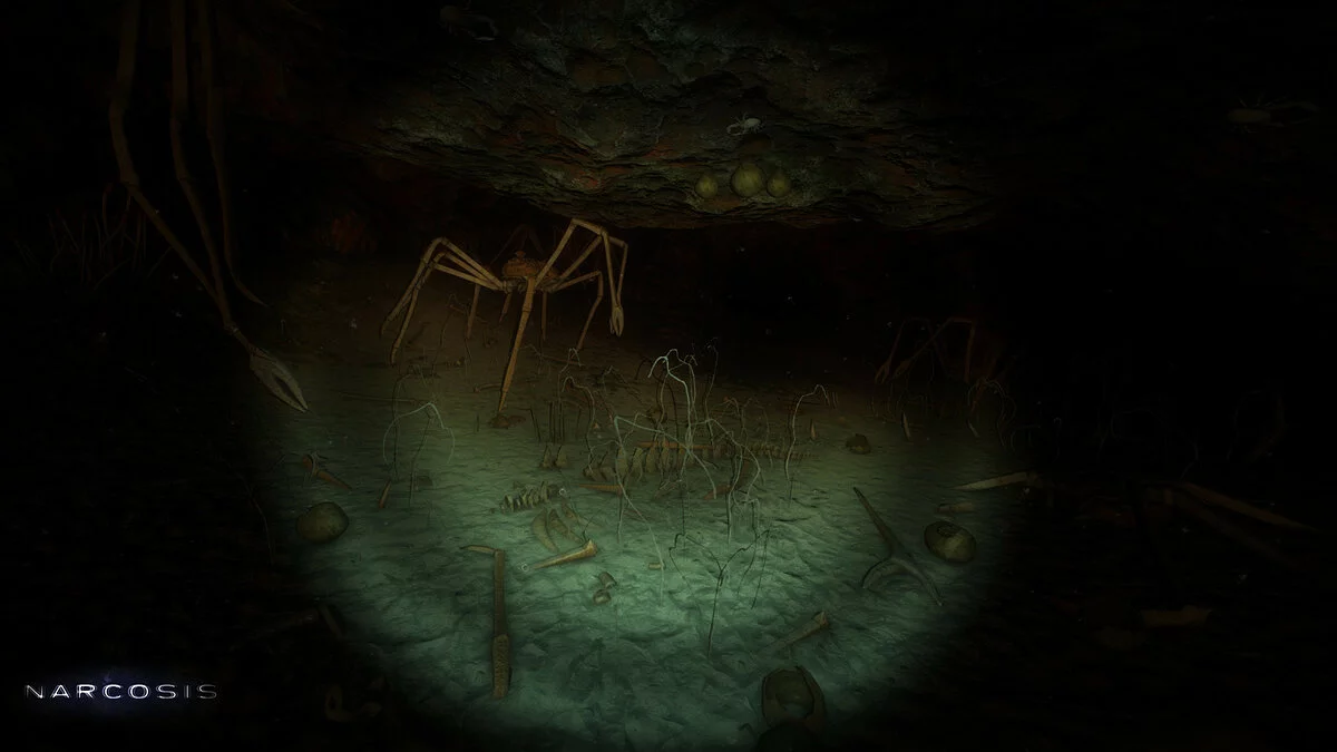 Скриншот из игры Narcosis - 27