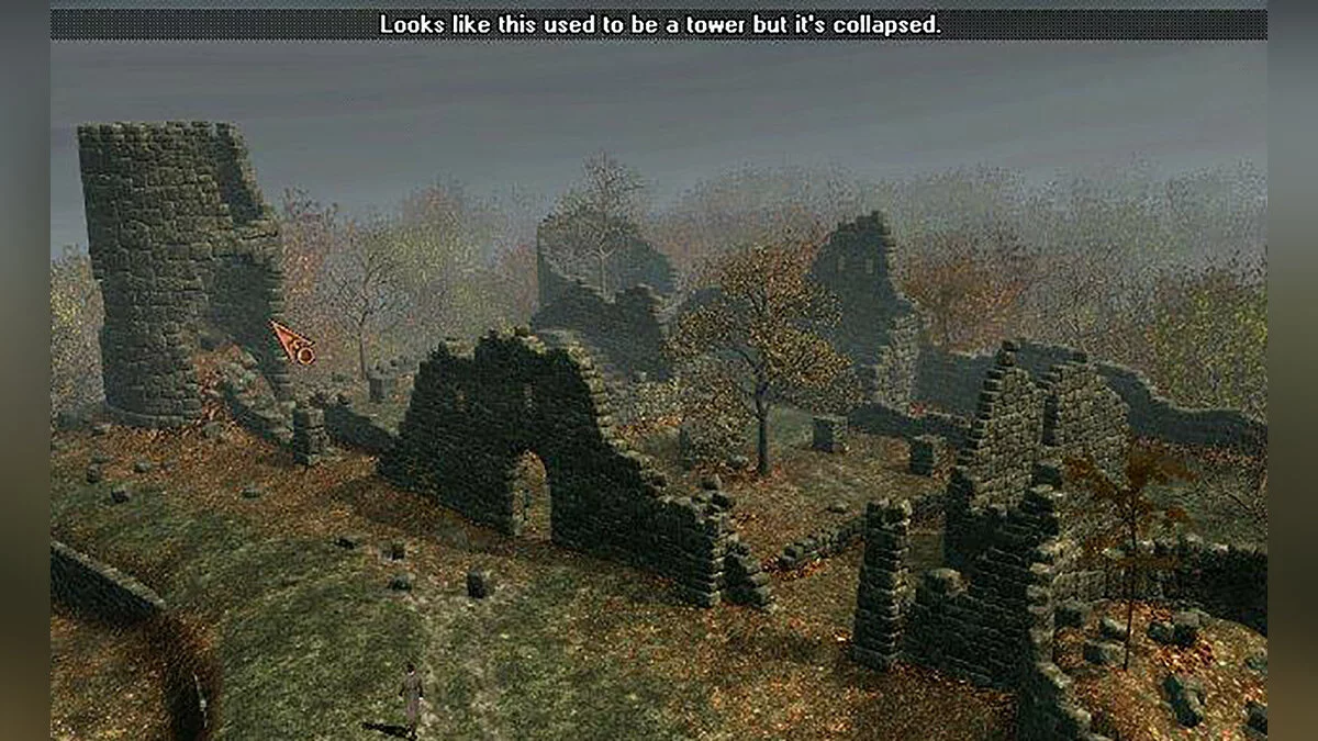 Скриншот из игры Mystery of the Druids - 10