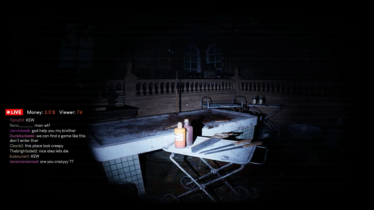 Скриншот из игры Madhouse Madness: Streamer's Fate - 5