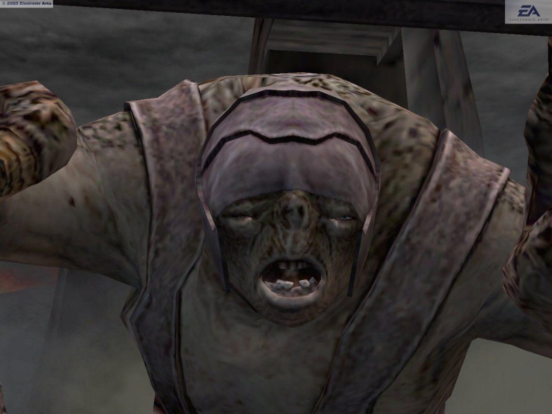 Скриншот из игры The Lord of the Rings: The Return of the King - 26