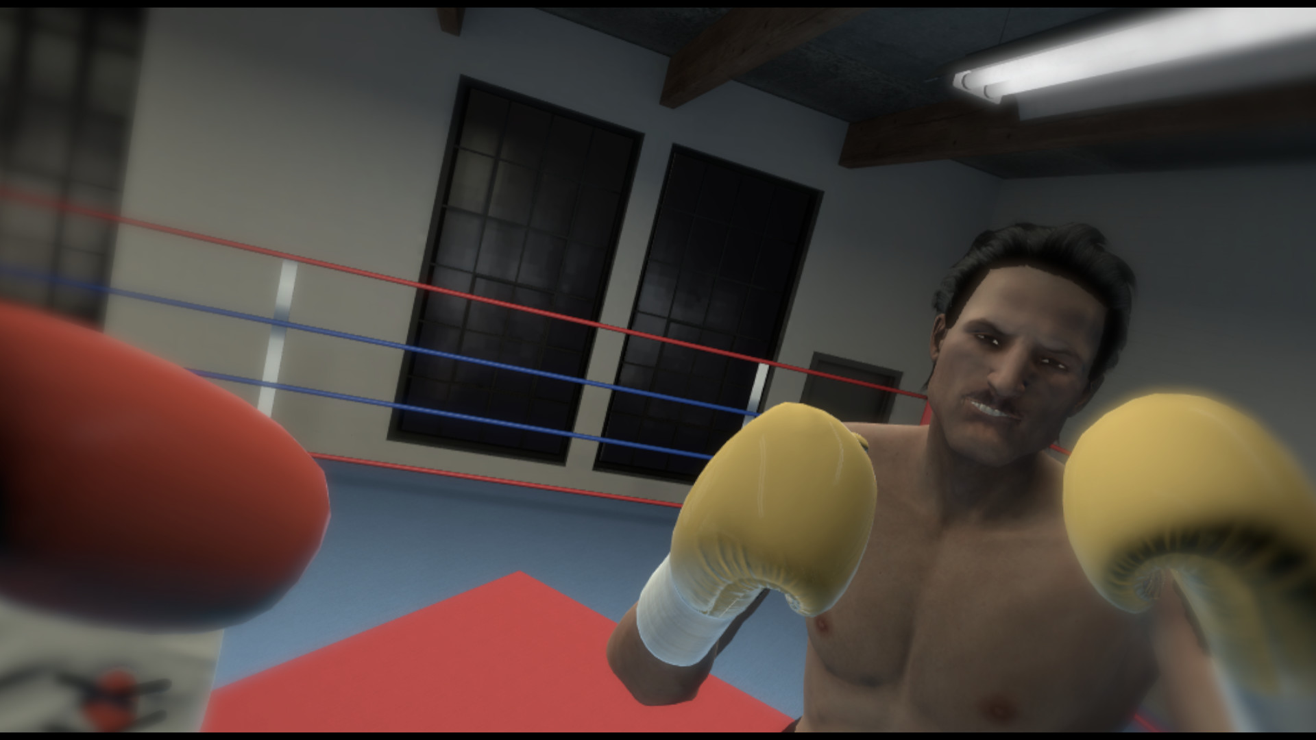 Скриншот из игры The Thrill of the Fight - VR Boxing - 5