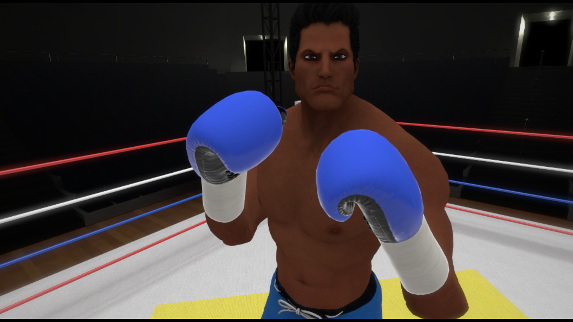 Скриншот из игры The Thrill of the Fight - VR Boxing - 18