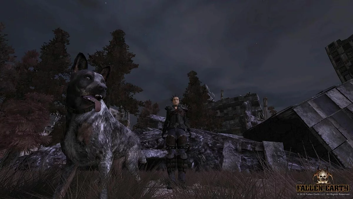 Скриншот из игры Fallen Earth - 4