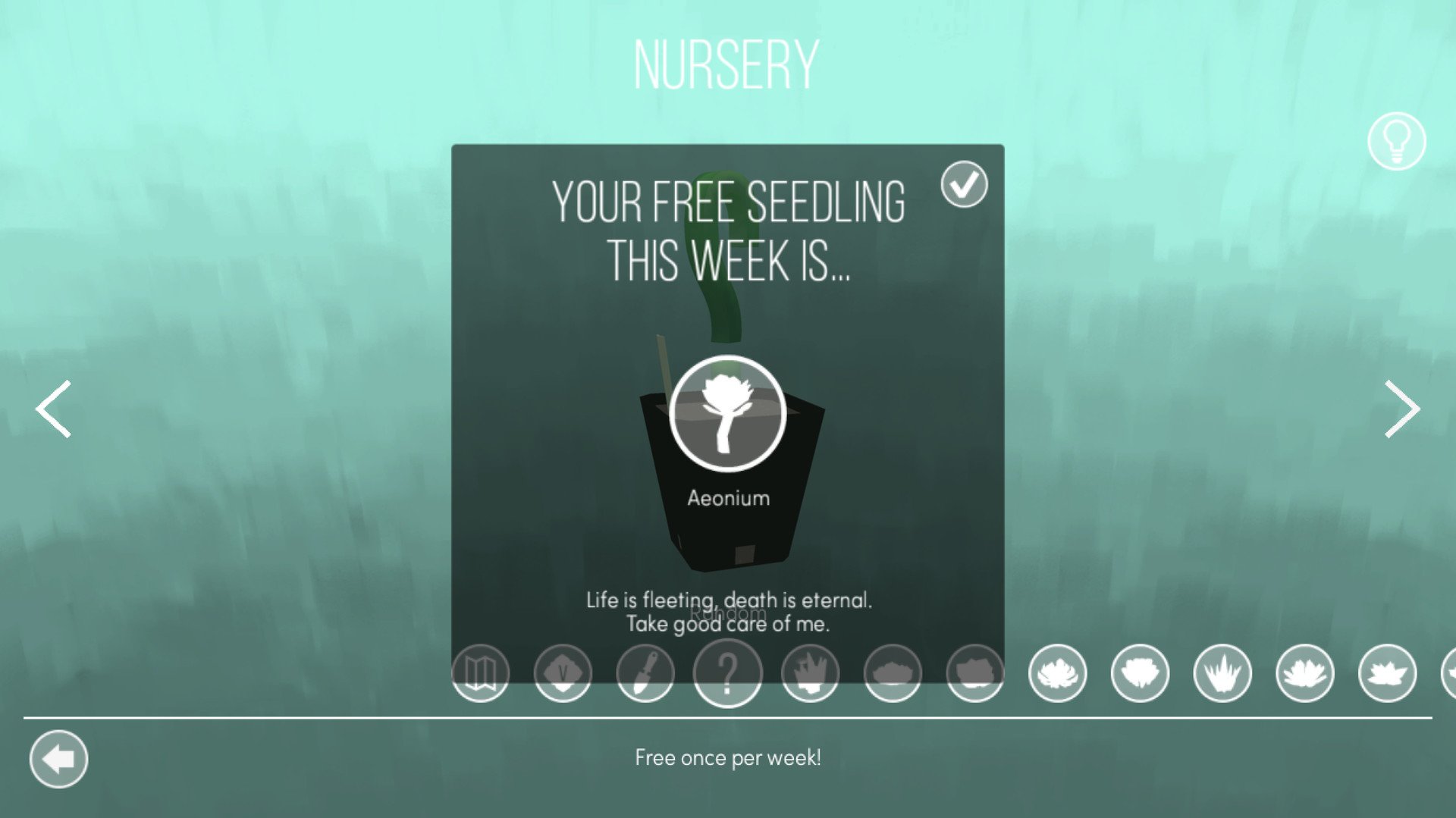 Скриншот из игры Viridi - 10