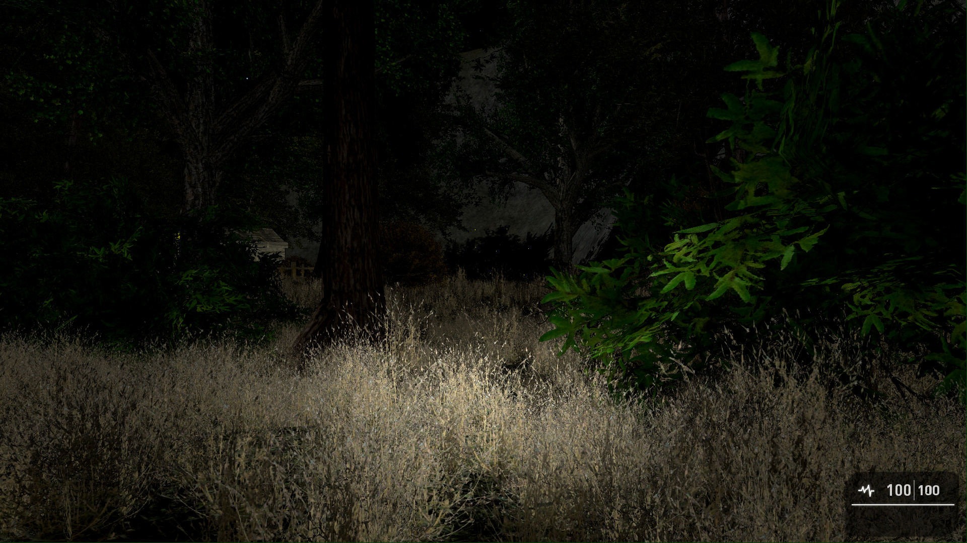 Скриншот из игры Ritual - 3