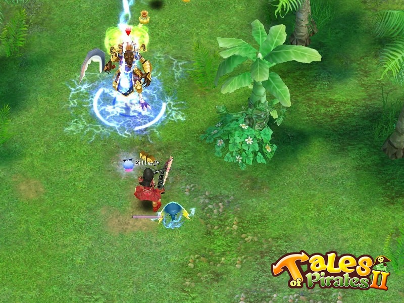 Скриншот из игры Tales of Pirates 2 - 24