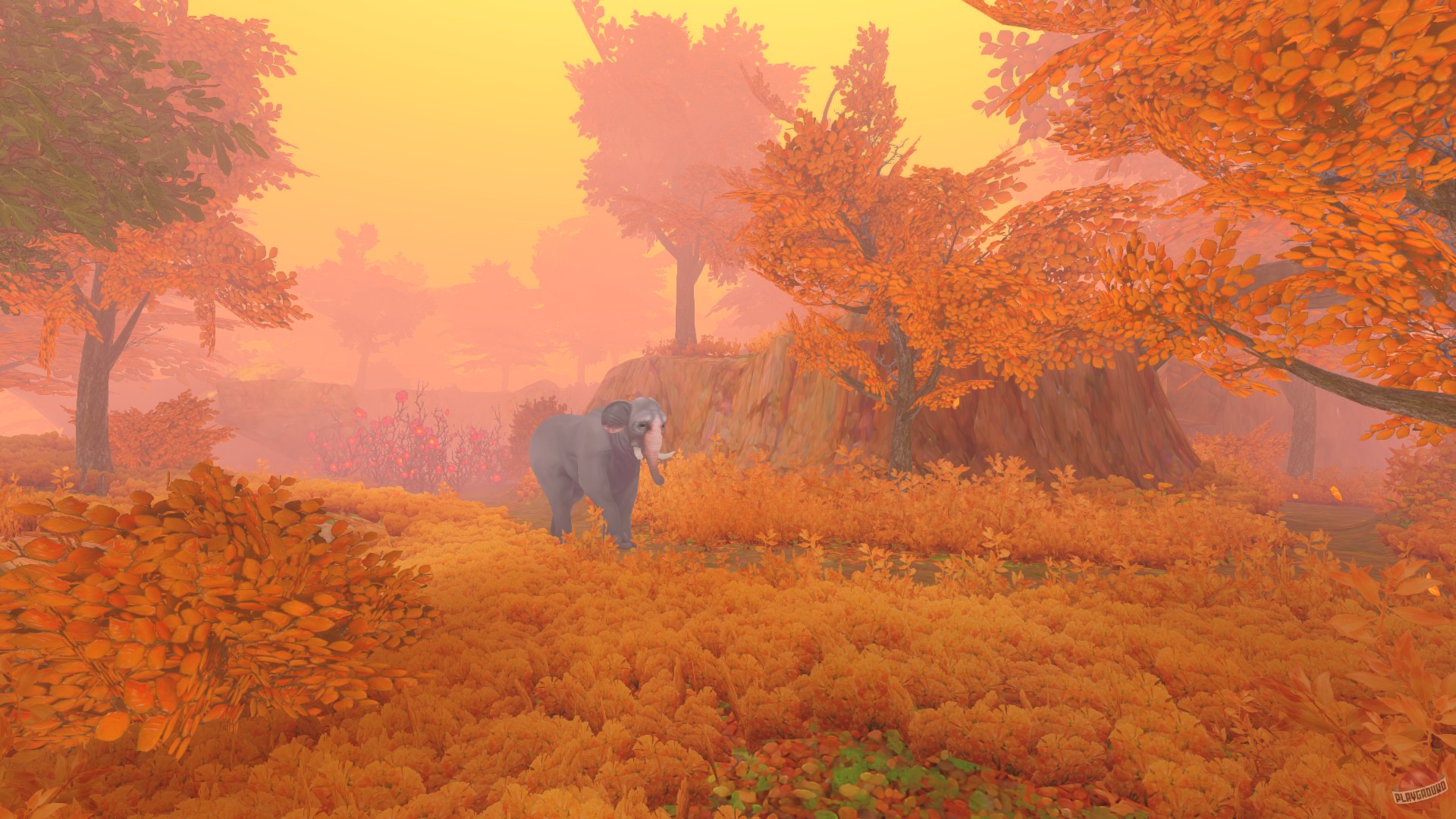 Скриншот из игры The Wild Eternal - 13