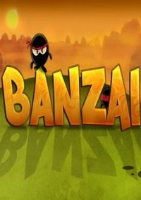 Обложка игры Banzai - Ninja Sports