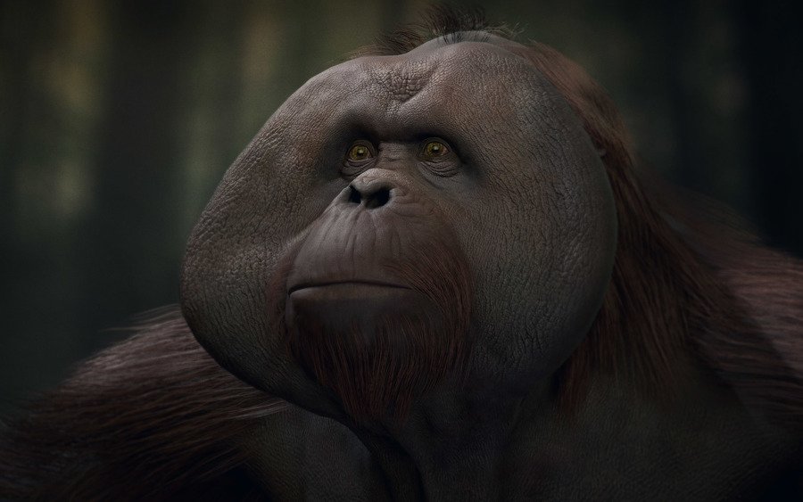 Скриншот из игры Planet of the Apes: Last Frontier - 6