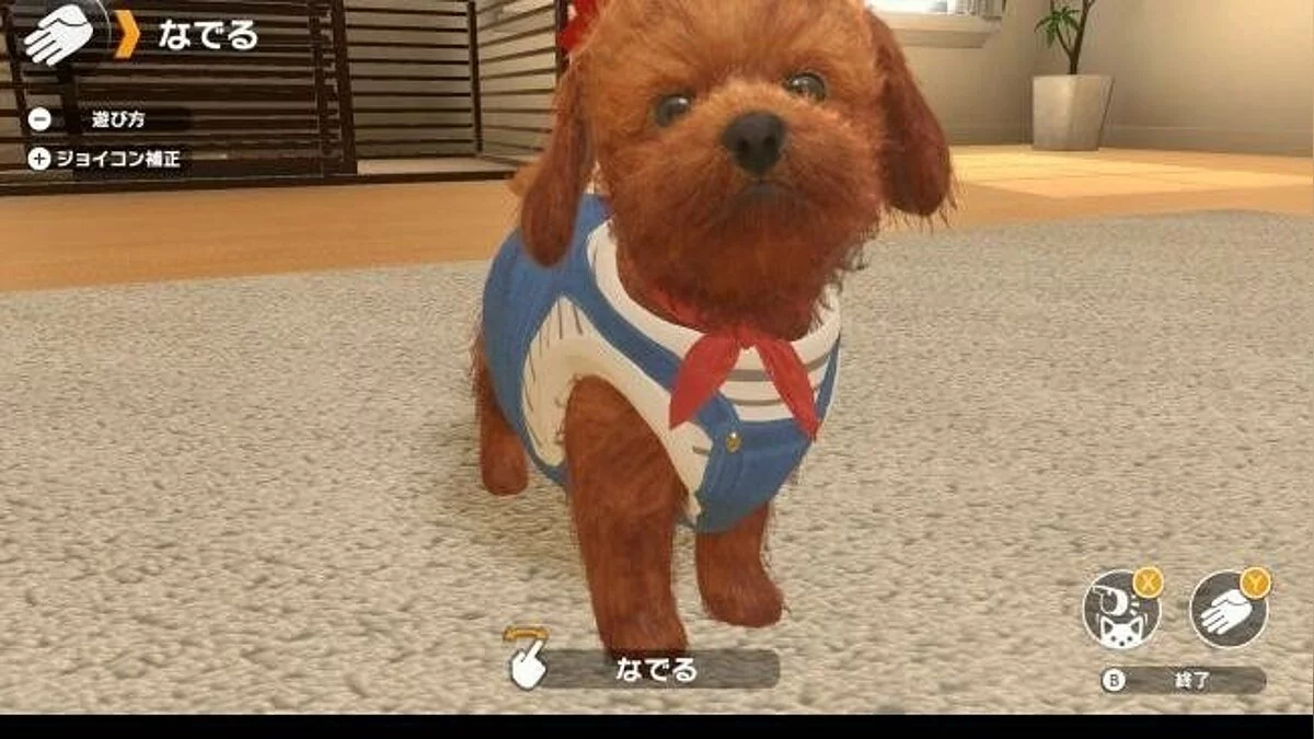 Скриншот из игры Little Friends: Dogs & Cats - 12