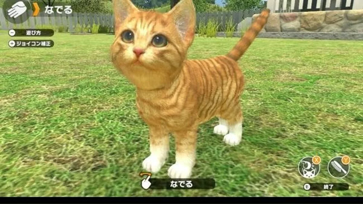 Скриншот из игры Little Friends: Dogs & Cats - 6