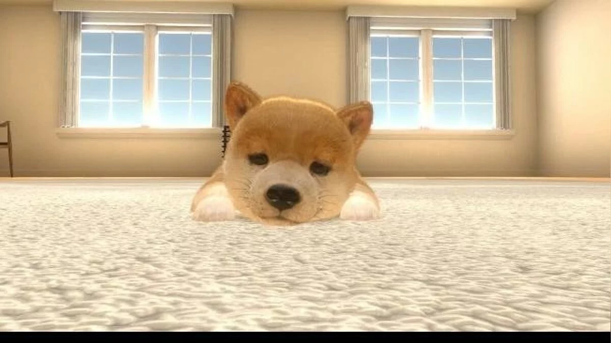 Скриншот из игры Little Friends: Dogs & Cats - 8