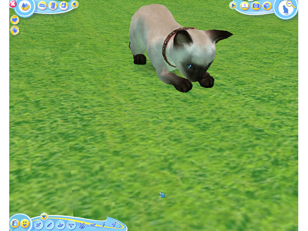 Скриншот из игры Petz Catz 2 - 71