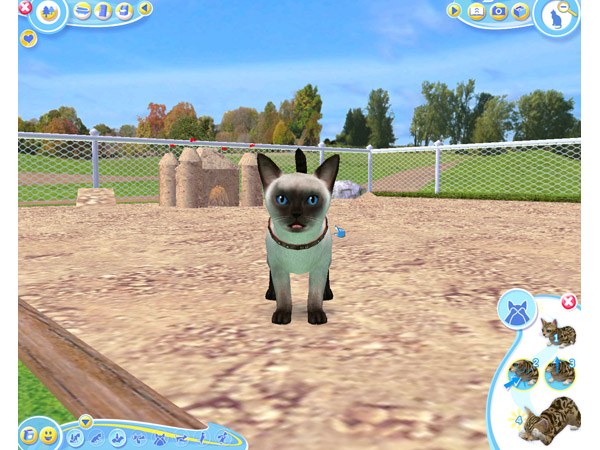 Скриншот из игры Petz Catz 2 - 18