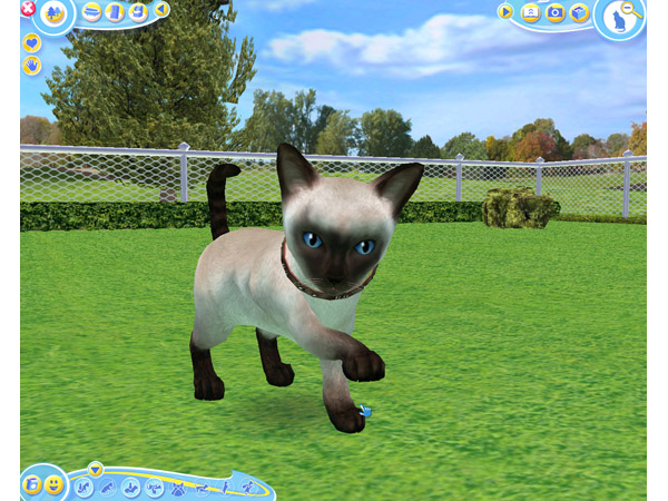 Скриншот из игры Petz Catz 2 - 60