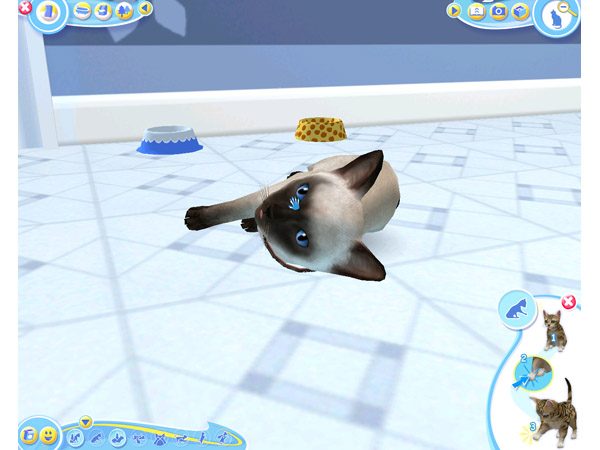 Скриншот из игры Petz Catz 2 - 21