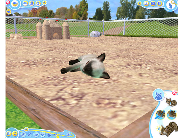 Скриншот из игры Petz Catz 2 - 88