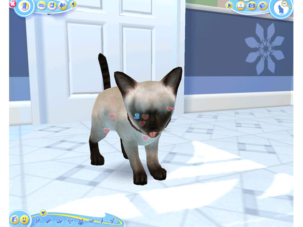Скриншот из игры Petz Catz 2 - 35