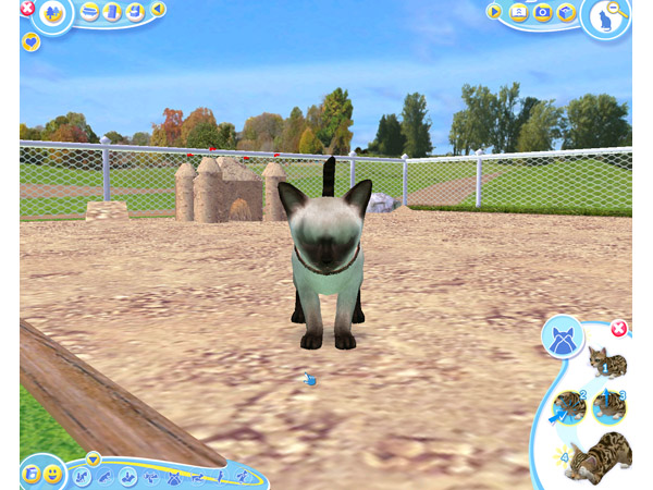 Скриншот из игры Petz Catz 2 - 39